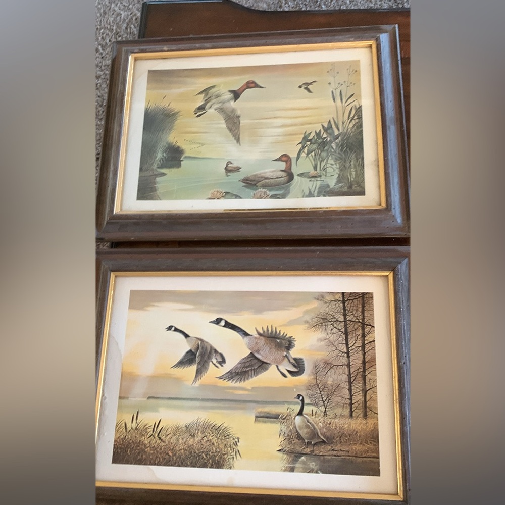 Framed Waterfowl Art Prints